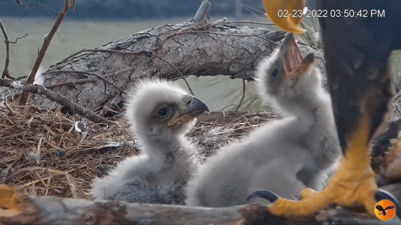 Webp.net-gifmaker (1)