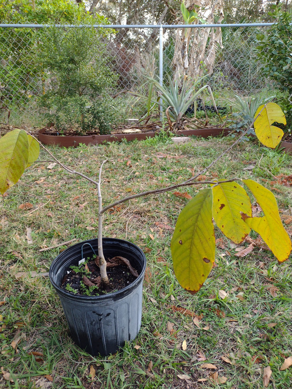 IMG_20230221_174547390