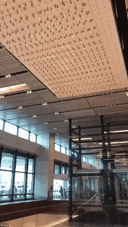Wow-GIFs-2