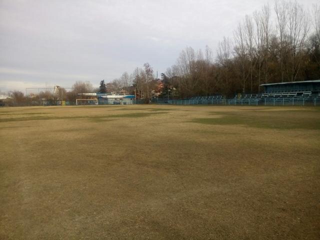 терен дијагонала