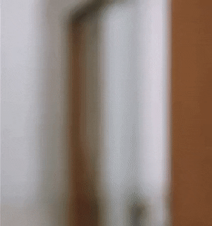 [Linked Image]