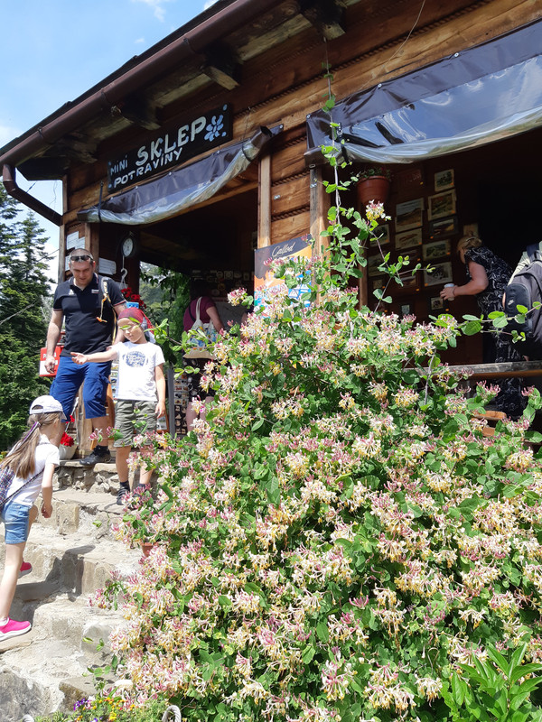 02.07d - 20220616_125344 (PiTT)