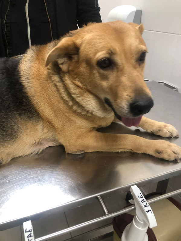 E8BE9051-F0AD-4057-BBB2-CD20F330A565