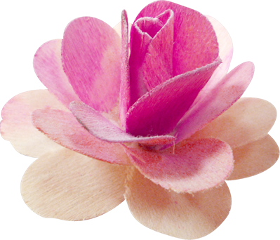 KBK_PrettyRabbit (13)