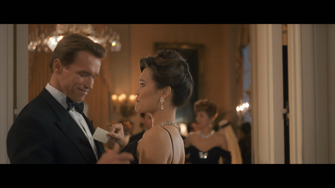 True.Lies.1994.German.DL.EAC3.1080p.DSNP.WEB.H264-ZeroTwo (1)-001_prob4.mov_snapshot_11.07.851