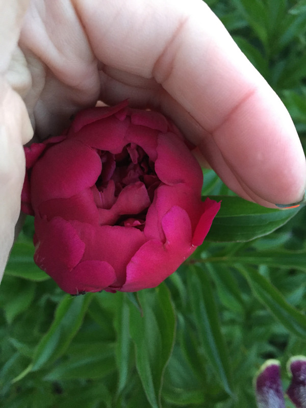 1F3C44D3-BC5B-4CE4-8C87-0559DB1D1E8A