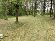 IMG-57191.jpg