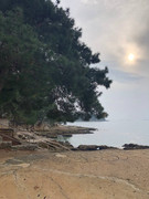 photo_2025-01-31_21-03-29 (2)