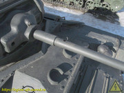 IMG-3432