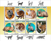 https://i.postimg.cc/fV3YhWGB/1-SIERRA-LEONE-CATS1.jpg