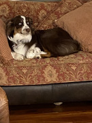 38930341-CCC0-4B1F-A04F-EDCB4C00C6A0