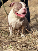 IMG_20230416_015650_463