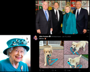 207d3e425144c9f575b17fba4b343c13b2435cdd85339be2e21421f63e3246fa