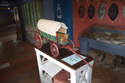 DSC-0131
