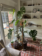 70516506333__E50AC28B-D3AF-44EC-A01E-9DADBD432851