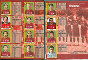 Album-Calciatori-2007-08-Panini-32