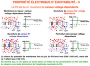 Physiologie-Google-Drive-Google-Chrome.j