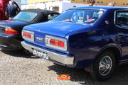 IMG-6950