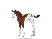 394B347A-A76B-4B21-B346-2495BC727F8C