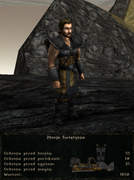 pancerze i ubrania (18)