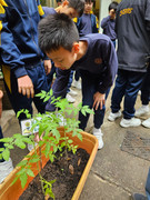 5190e530-c543-4796-89f5-ec60c35afe24