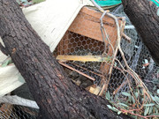 F2E5FDFD-F687-4392-8572-319233C8A345