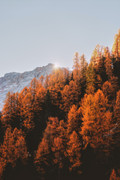 wp11433002-autumn-iphone-2022-wallpapers