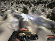 ivory1.jpg