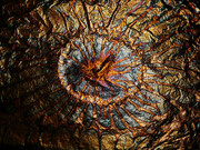 Rainbow-Sunburst-Metallic-Foil-by-Enchantedgal-Stock