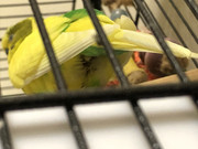 C431609E-B75D-4503-B9DE-76ED49FD7D3C