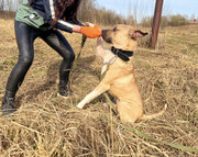 IMG_20230416_173223_581