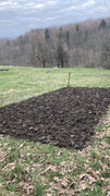 IMG-4020