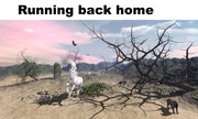 running-back-home