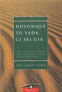 Jon Kabat-Zinn - Dovunque tu vada, ci sei già (2011)