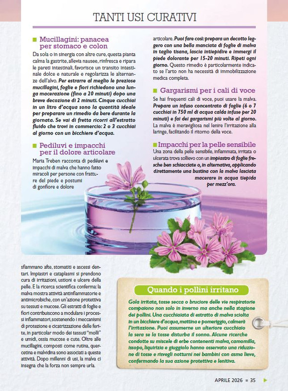 Sal Nat Apr 2026 (4)