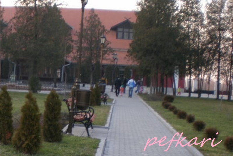 Slika