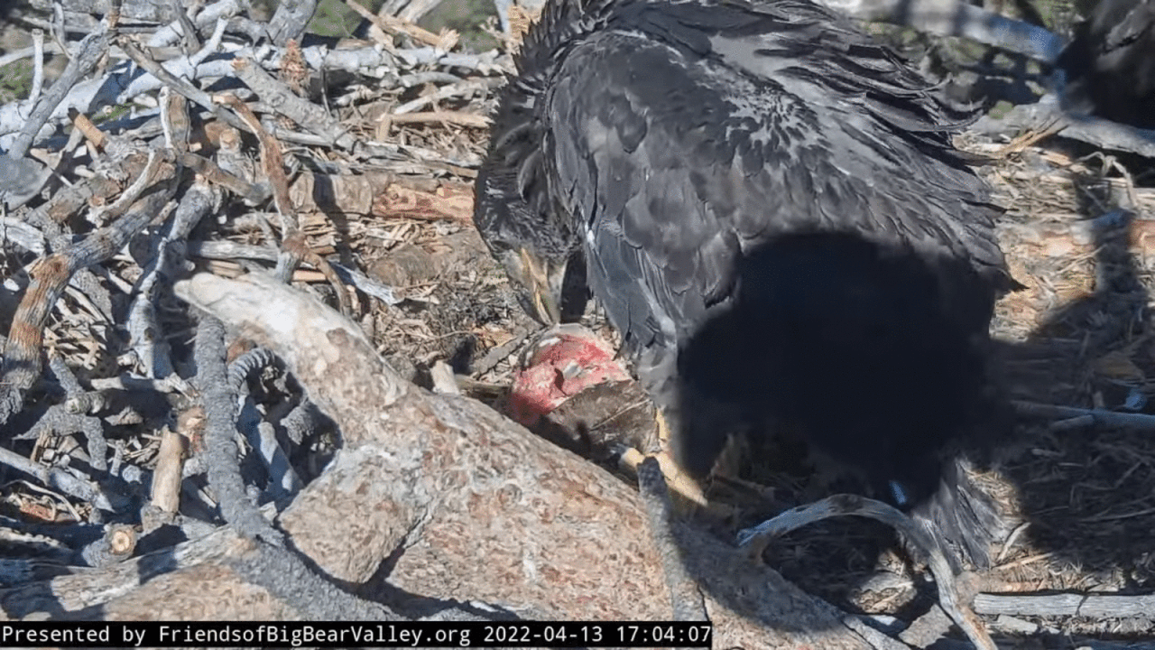 Webp.net-gifmaker (7)