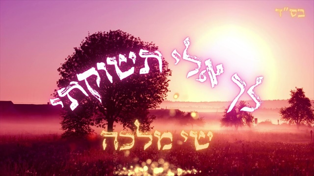 תמונה
