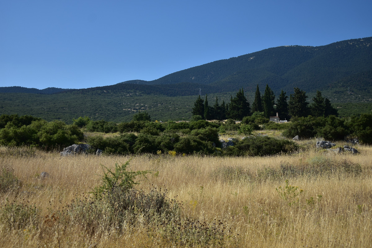 Αρχαίες Πλαταιές (17)