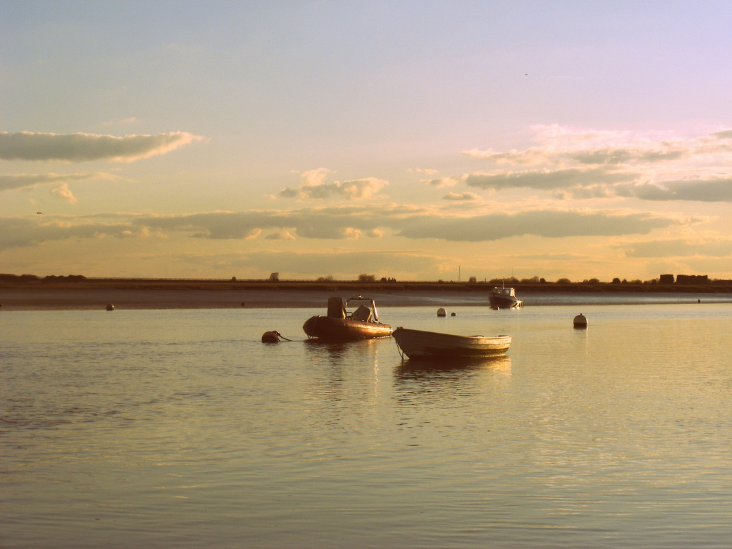 DSCF7597.jpg