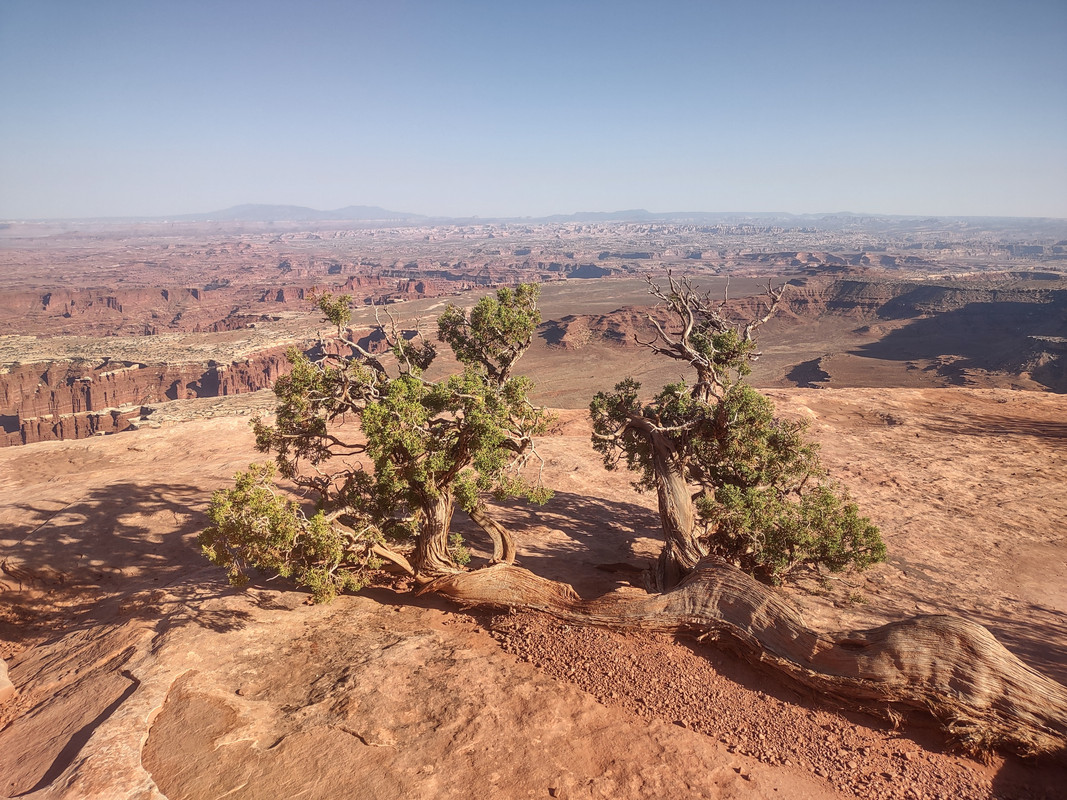 IMG_20250619_182331232_HDR