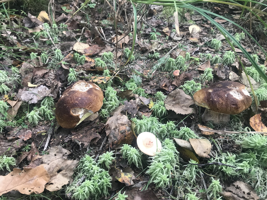 2D25B521-E70A-4955-8C99-036557F740AC