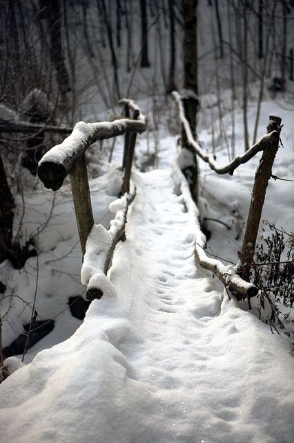 blacknwhitesnowfence.jpg