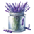 Klik hier om een link te hebben waarmee u dit artikel later terug kunt lezen.