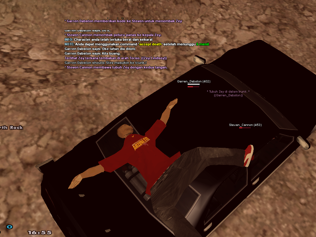 13.png