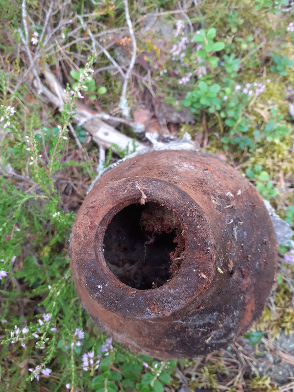 20200812_101230 – kopio