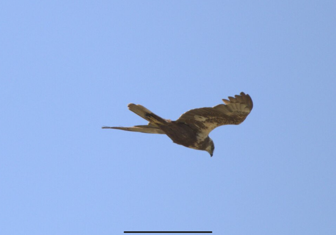 F4757B0E-85EA-488A-84A0-117E3FE204E1