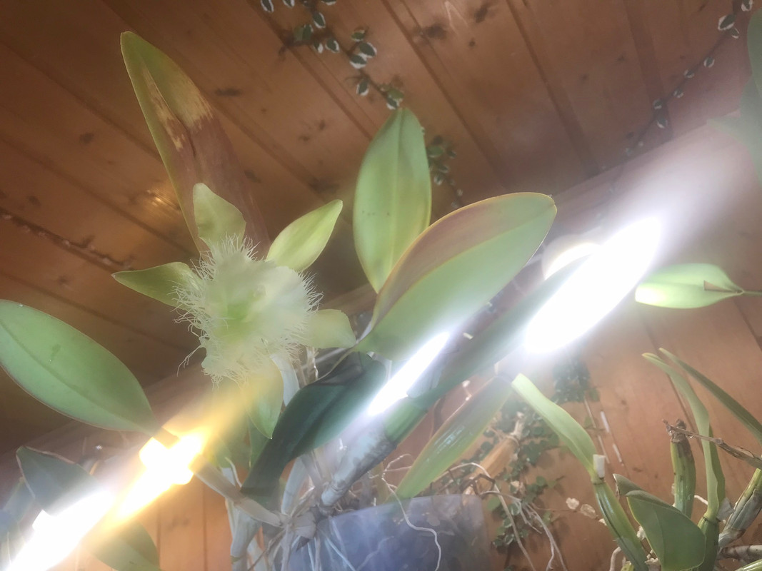 B0CB7B23-2EC5-4545-9FAB-DE184E0BC519