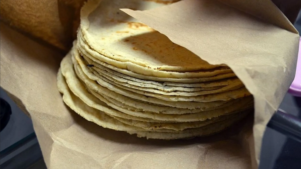 ¿Cómo saber si la tortilla de maíz es pirata? Aquí te decimos