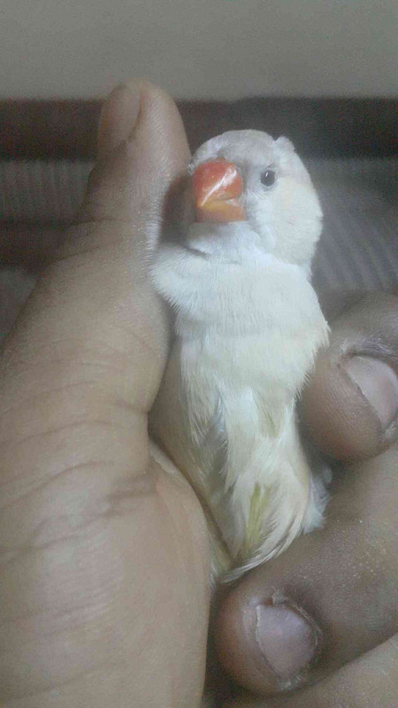 ٢?١٨?٩١٩_٢١١٧٥٣